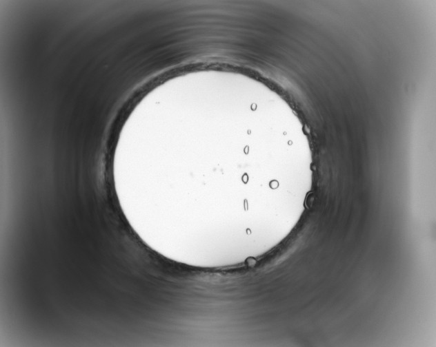 X0000088070880200706081707