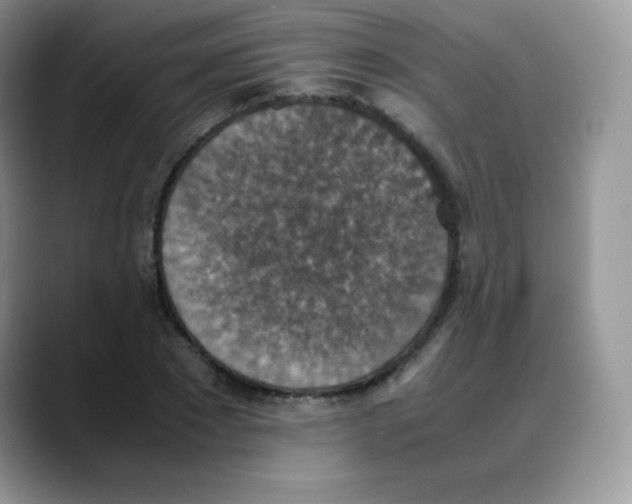 X0000088070881200706081707