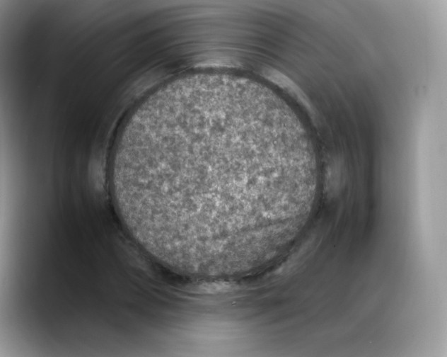 X0000088070882200706081707