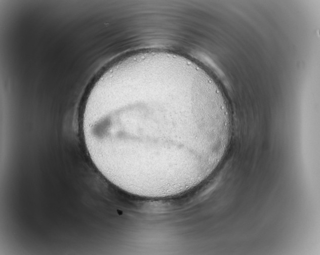 X0000088070883200706081707