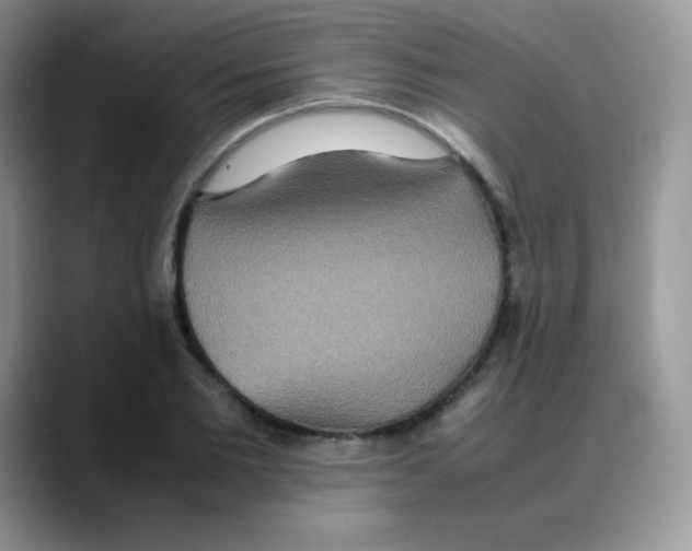 X0000088070885200706081707