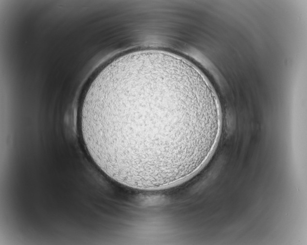 X0000088070886200706081707