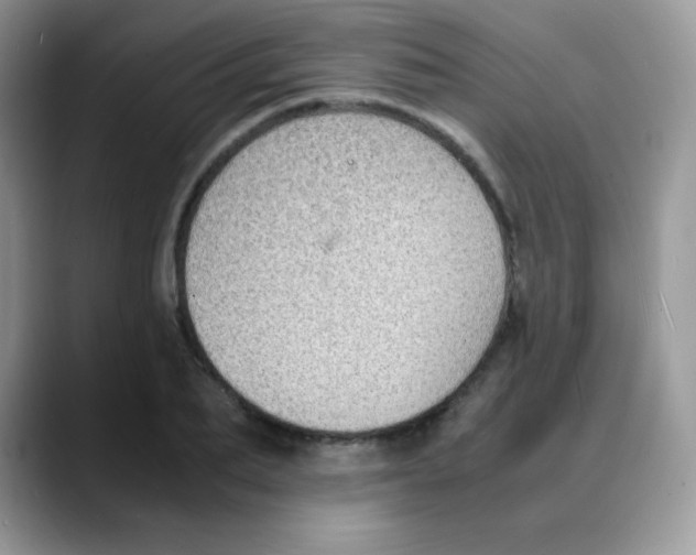 X0000088070887200706081707