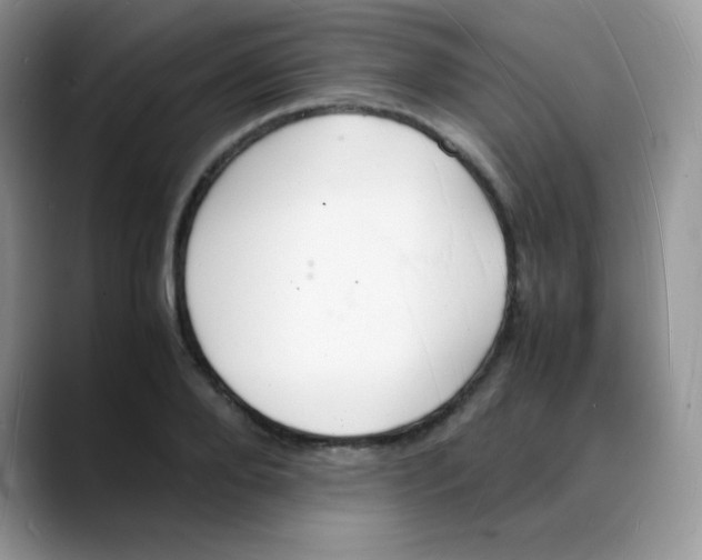 X0000088070888200706081707
