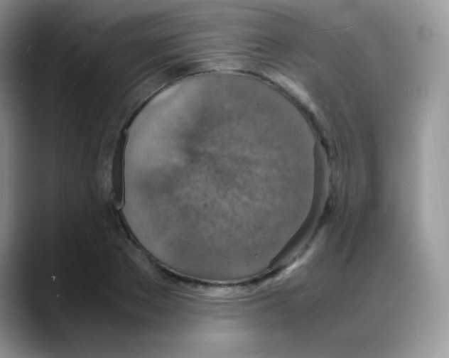 X0000088070889200706081707