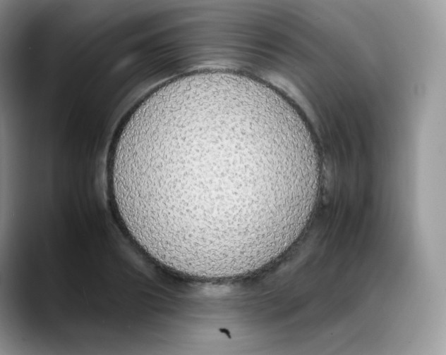 X0000088070890200706081707