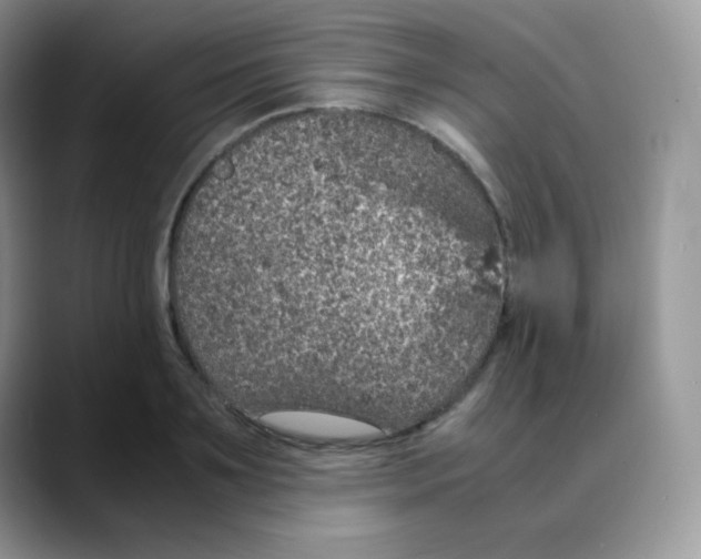 X0000088070891200706081707