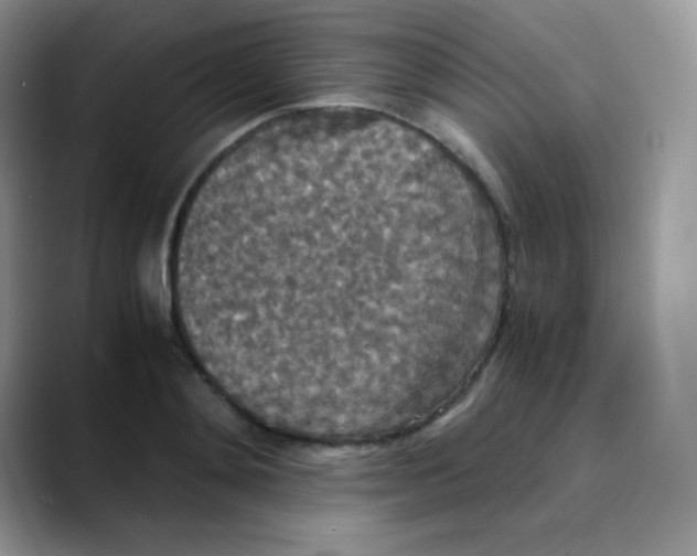 X0000088070892200706081707
