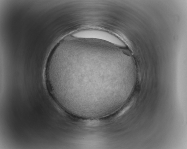 X0000088070893200706081707