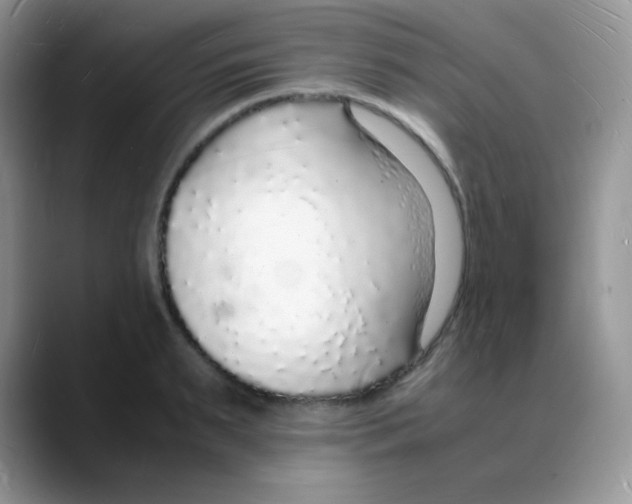 X0000088070895200706081707
