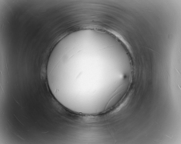 X0000088070897200706081707