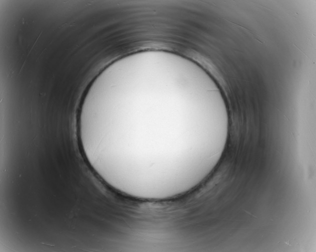 X0000088070898200706081707