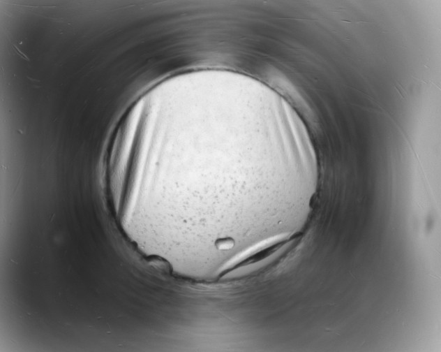 X0000088070900200706081707