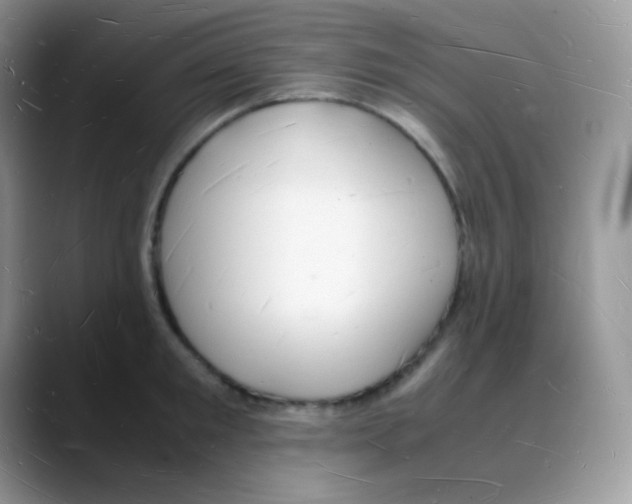 X0000088070901200706081707