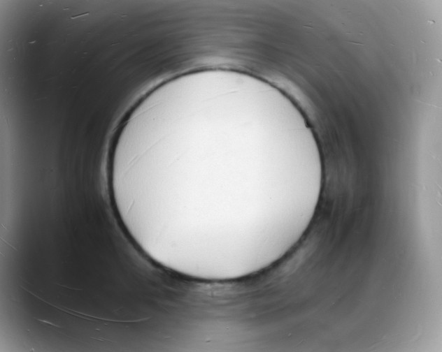 X0000088070902200706081707
