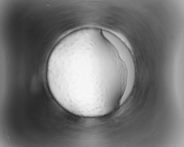 X0000088070903200706081707