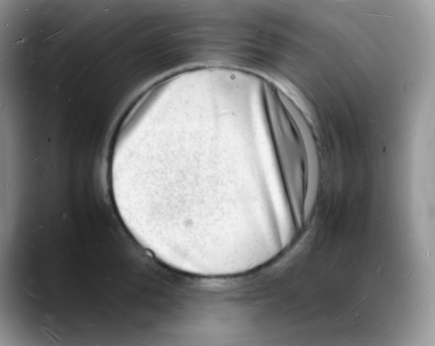 X0000088070904200706081707