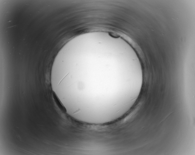 X0000088070905200706081707