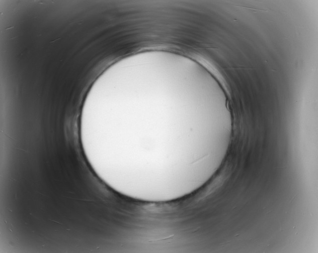 X0000088070906200706081707