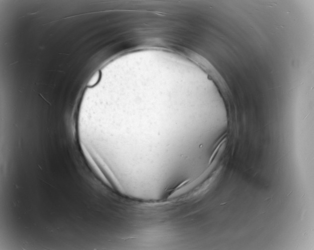 X0000088070908200706081707