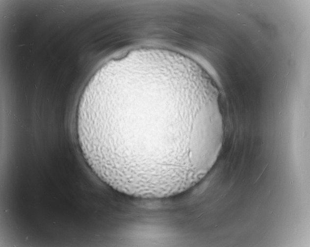X0000088070911200706081707