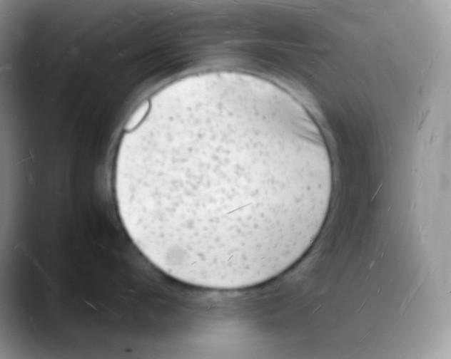 X0000088070912200706081707