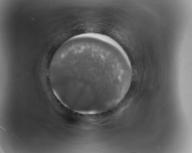 X0000088070913200706081706