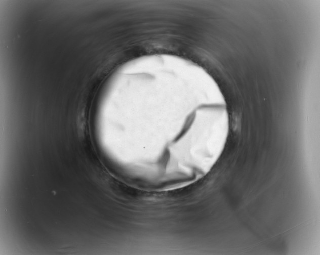 X0000088070915200706081706