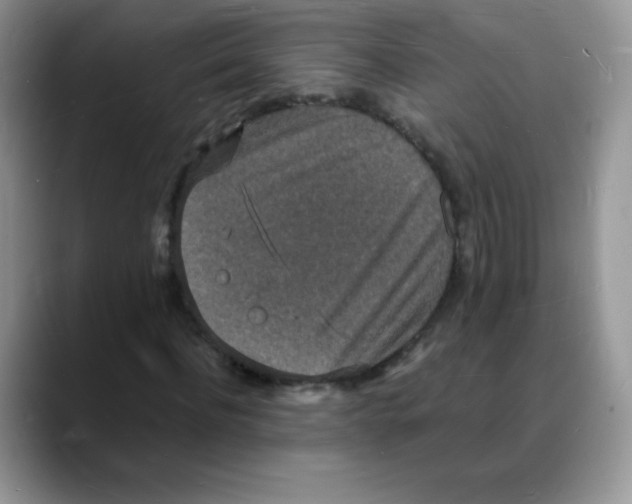 X0000088070916200706081706