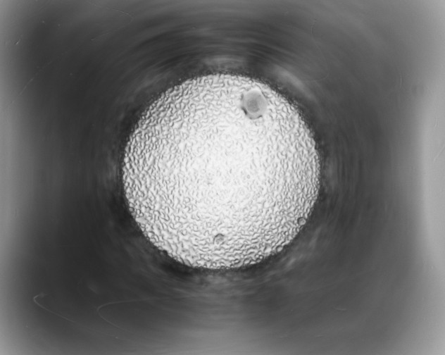 X0000088070917200706081706