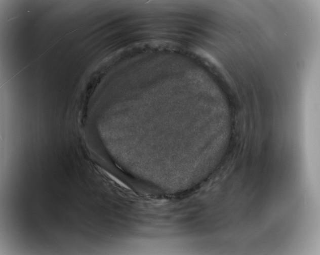 X0000088070919200706081706