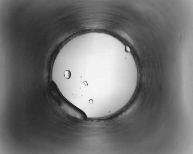 X0000088070922200706081706