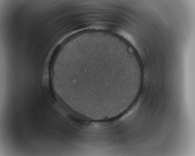 X0000088070923200706081706