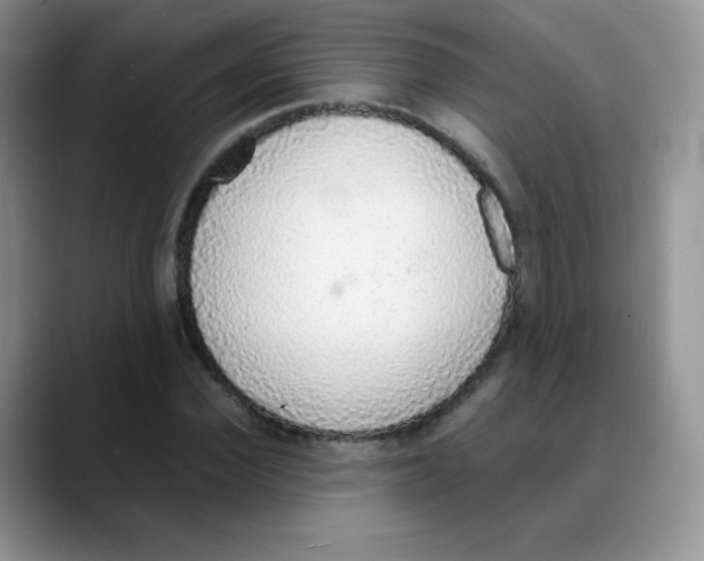 X0000088070924200706081706