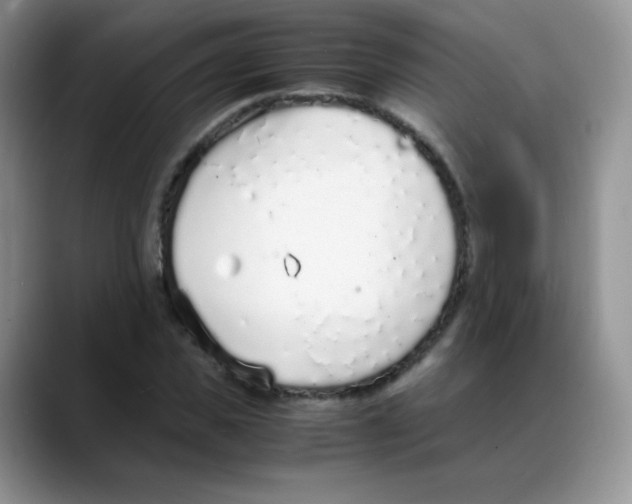 X0000088070925200706081706