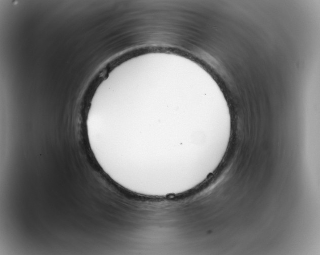 X0000088070926200706081706