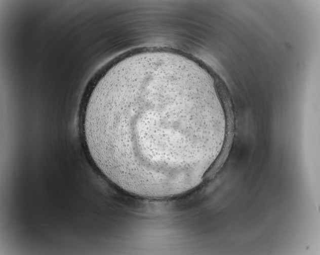 X0000088070928200706081706