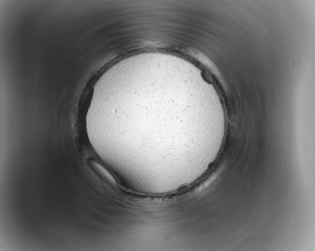 X0000088070930200706081706