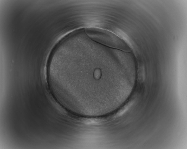 X0000088070932200706081706