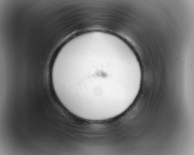 X0000088070933200706081706