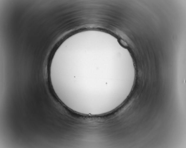 X0000088070934200706081706