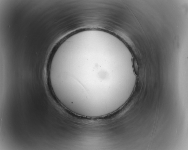 X0000088070936200706081706