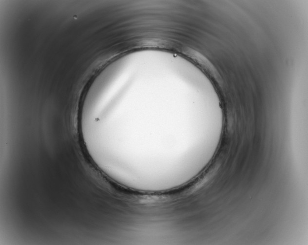 X0000088070938200706081707