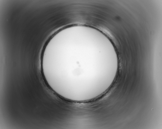 X0000088070940200706081707