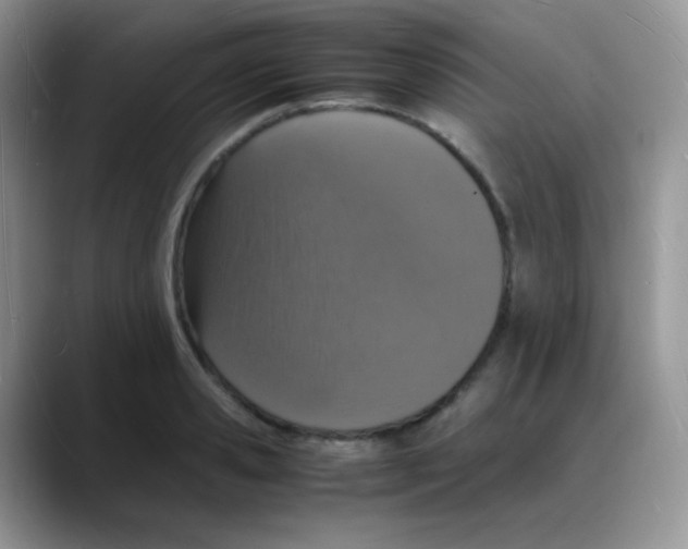 X0000088070941200706081707