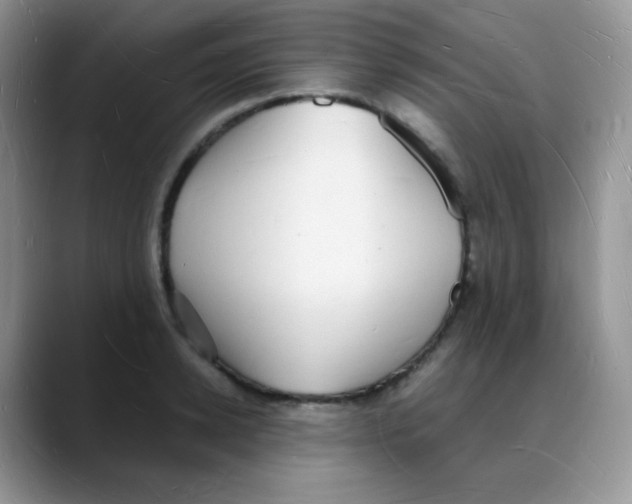 X0000088070942200706081707