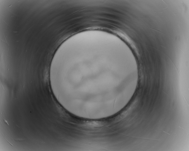 X0000088070945200706081707