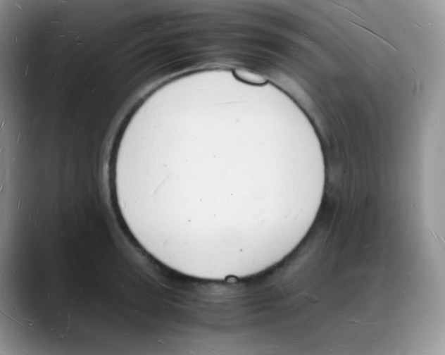 X0000088070947200706081707
