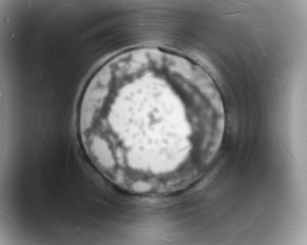 X0000088070948200706081707
