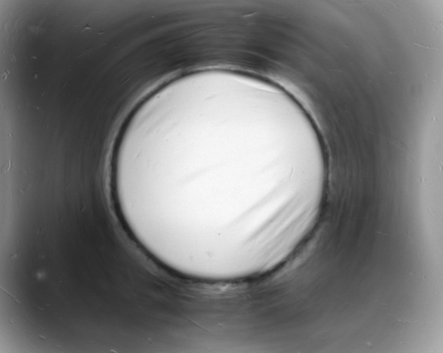 X0000088070949200706081707